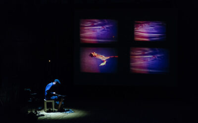 F(r)ictions IV de Laurence Favre (performance)