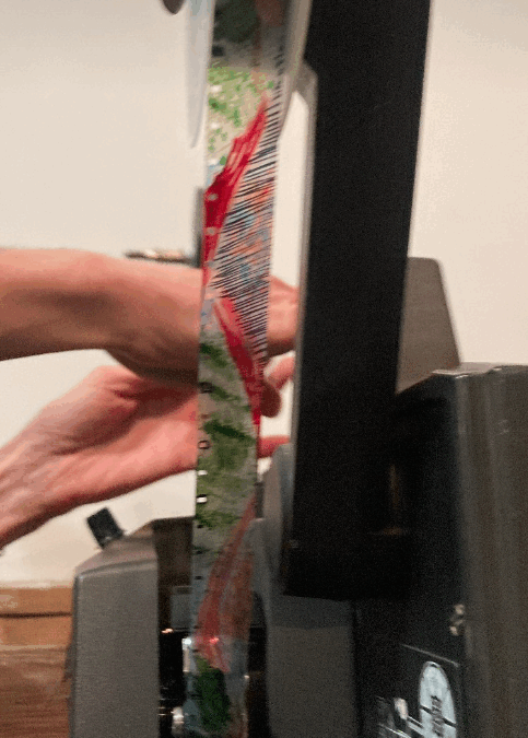 Atelier : Interventions sur pellicule