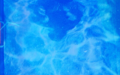 Invitation à Dicky Bahto